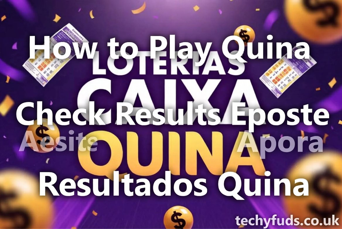 Loterias Caixa Quina: How to Play and Check Your Results Easily